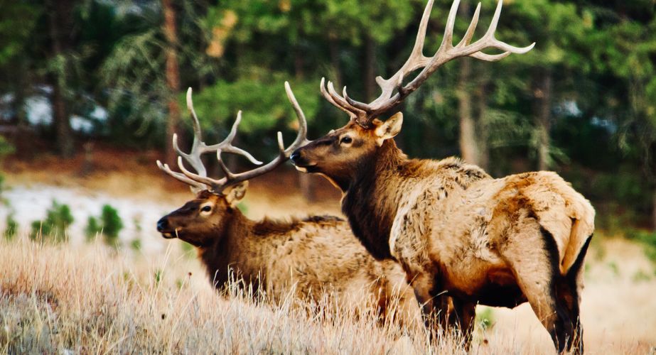 Photo by Travel South Dakota 18 Photo by Travel South Dakota 18